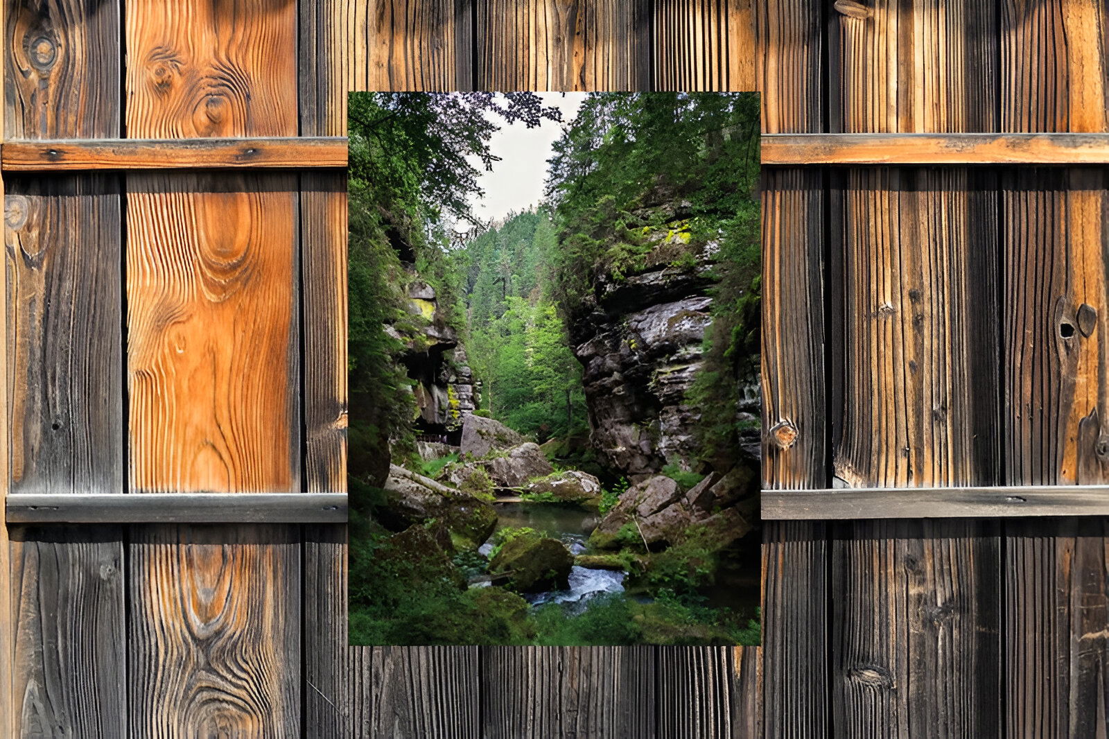 https://cdn.warentuin.nl/media/catalog/product/S/C/SCAN8720966702726_01_customize_it_tuinschilderijen_oerwoud_beek_7_0950.jpg