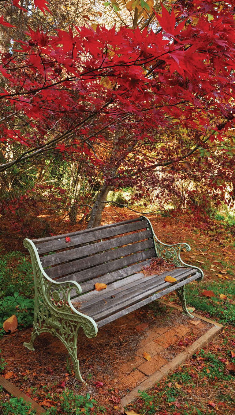 https://cdn.warentuin.nl/media/catalog/product/S/C/SCAN8720966702832_bankje_70x130cm_tuinschilderij_customize_it_f5c0.jpg