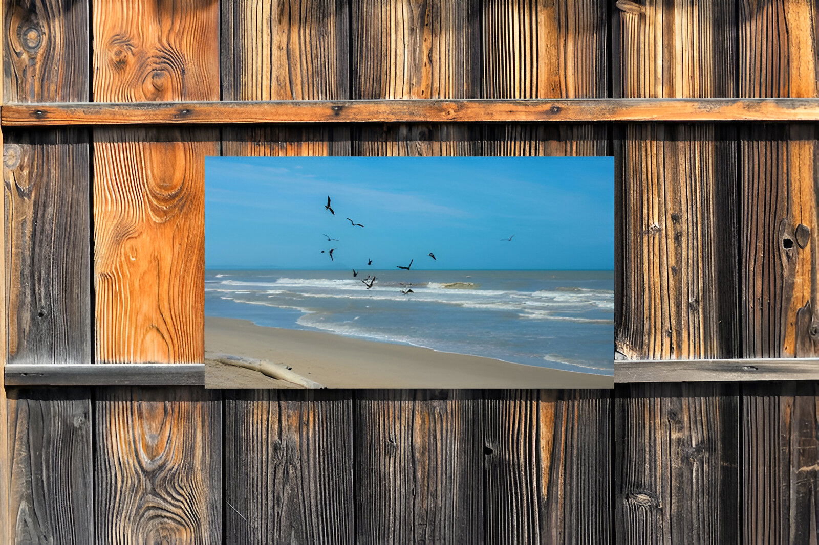 https://cdn.warentuin.nl/media/catalog/product/S/C/SCAN8720966702856_01_customize_it_tuinschilderijen_meeuwen_zee_13_0696.jpg