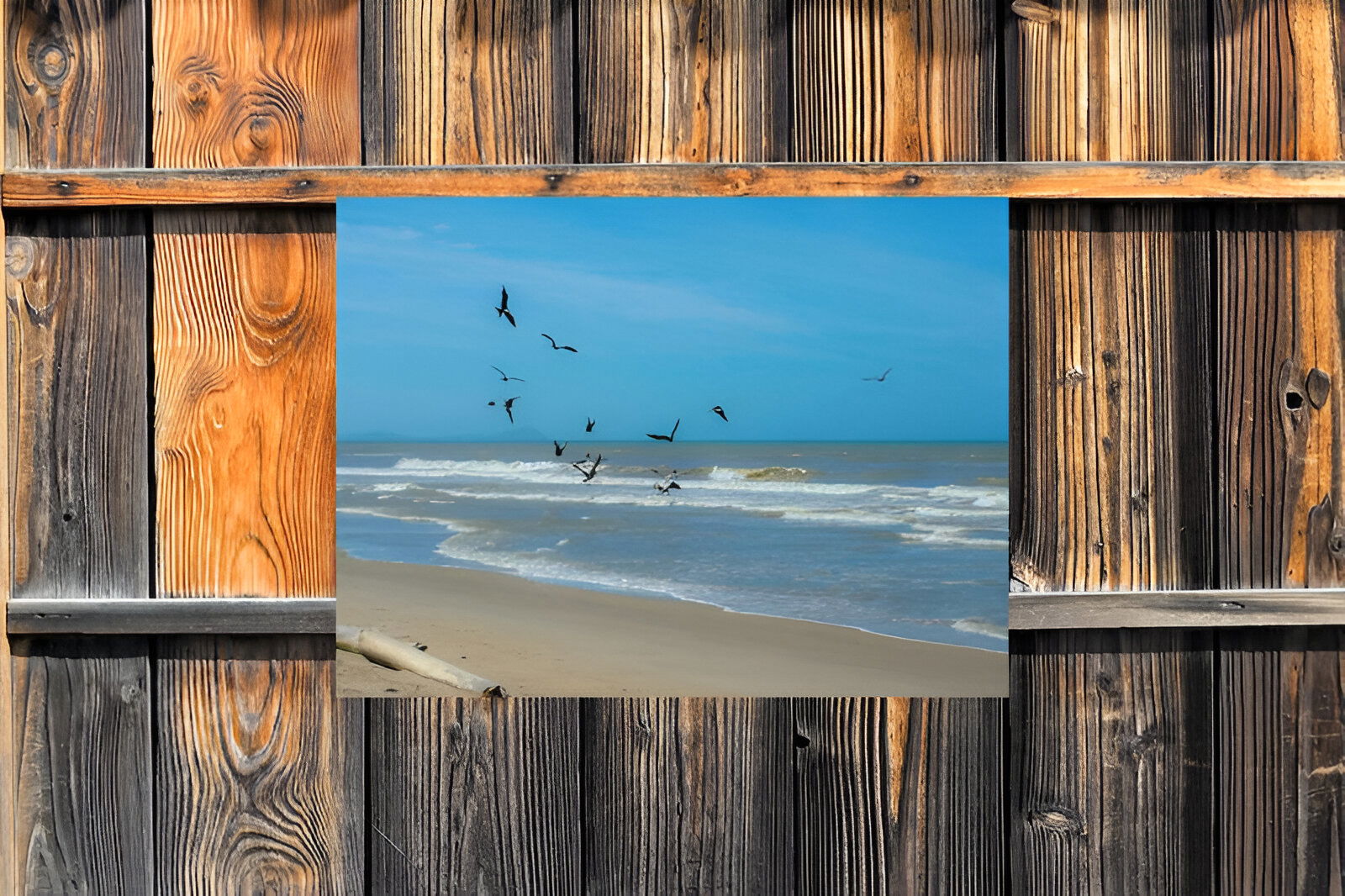 https://cdn.warentuin.nl/media/catalog/product/S/C/SCAN8720966702870_01_customize_it_tuinschilderijen_meeuwen_zee_70_38ad.jpg