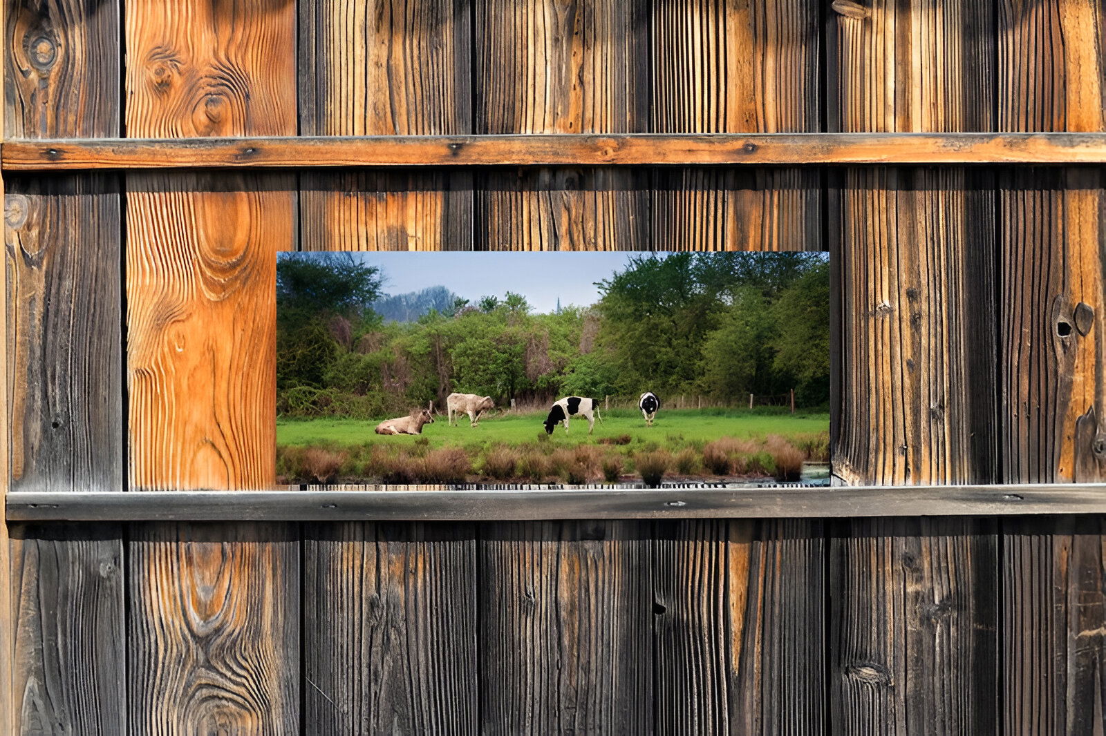https://cdn.warentuin.nl/media/catalog/product/S/C/SCAN8720966702948_01_customize_it_tuinschilderijen_polder_130x50c_c1c6.jpg