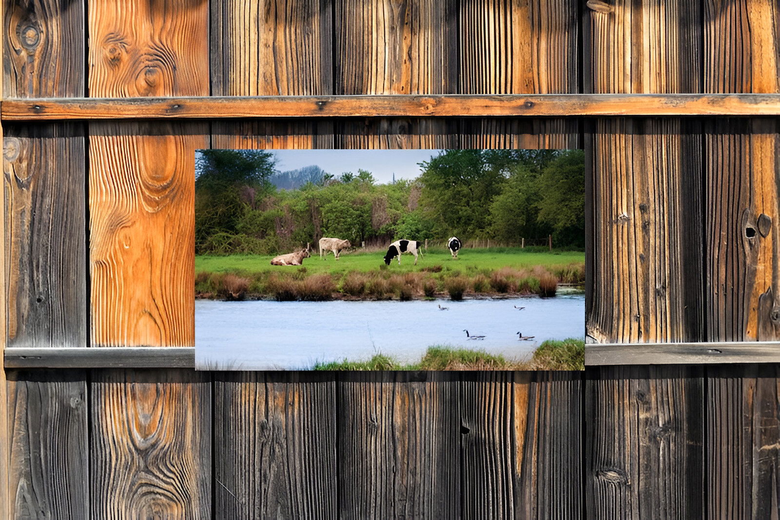 https://cdn.warentuin.nl/media/catalog/product/S/C/SCAN8720966702955_01_customize_it_tuinschilderijen_polder_130x70c_a5b1.jpg