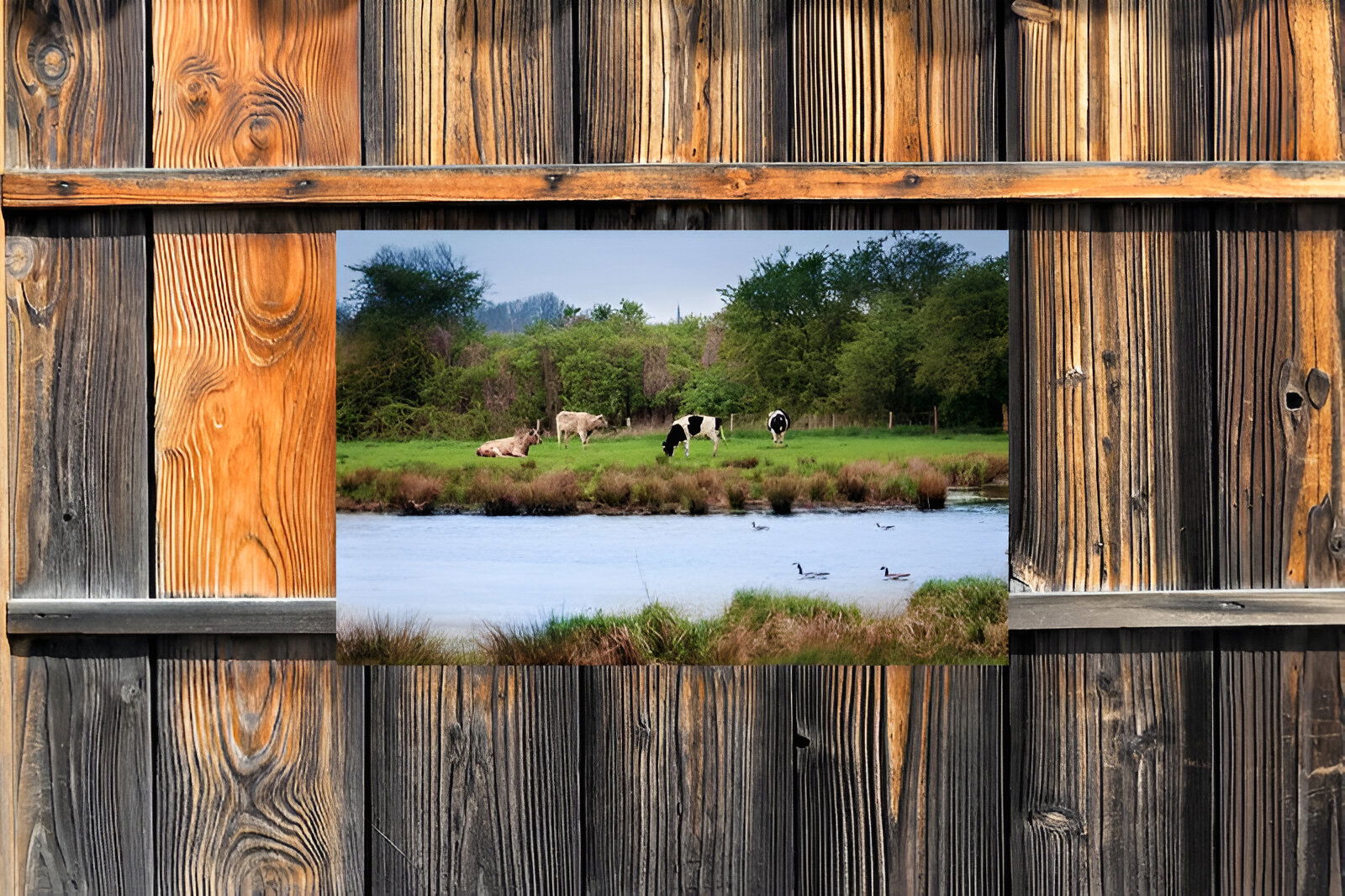https://cdn.warentuin.nl/media/catalog/product/S/C/SCAN8720966702962_01_customize_it_tuindoek_polder_140x90cm_tuindo_3071.jpg