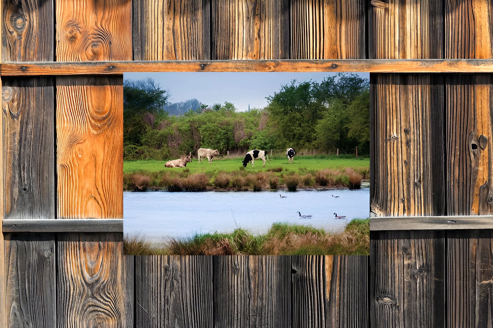 https://cdn.warentuin.nl/media/catalog/product/S/C/SCAN8720966702986_01_customize_it_tuinschilderijen_polder_70x50cm_68f7.jpg
