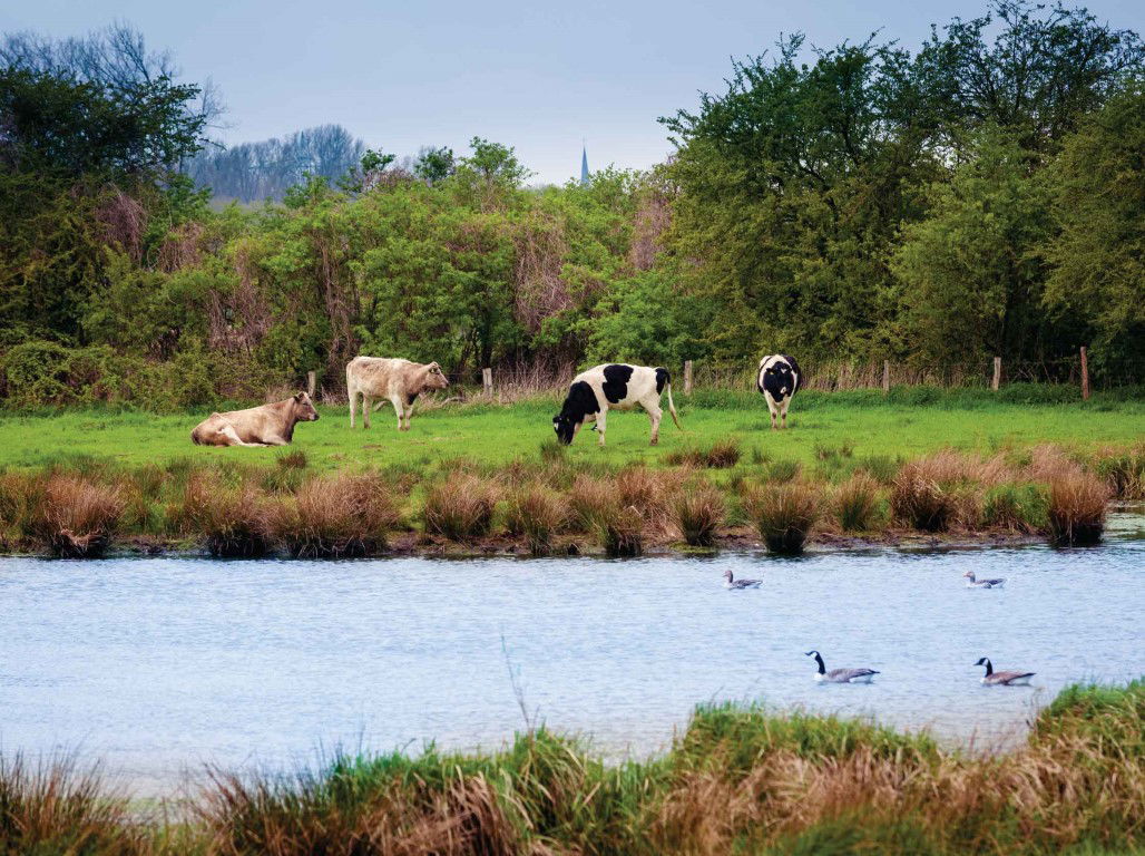Customize it Polder 70x50cm Tuinschilderij - 