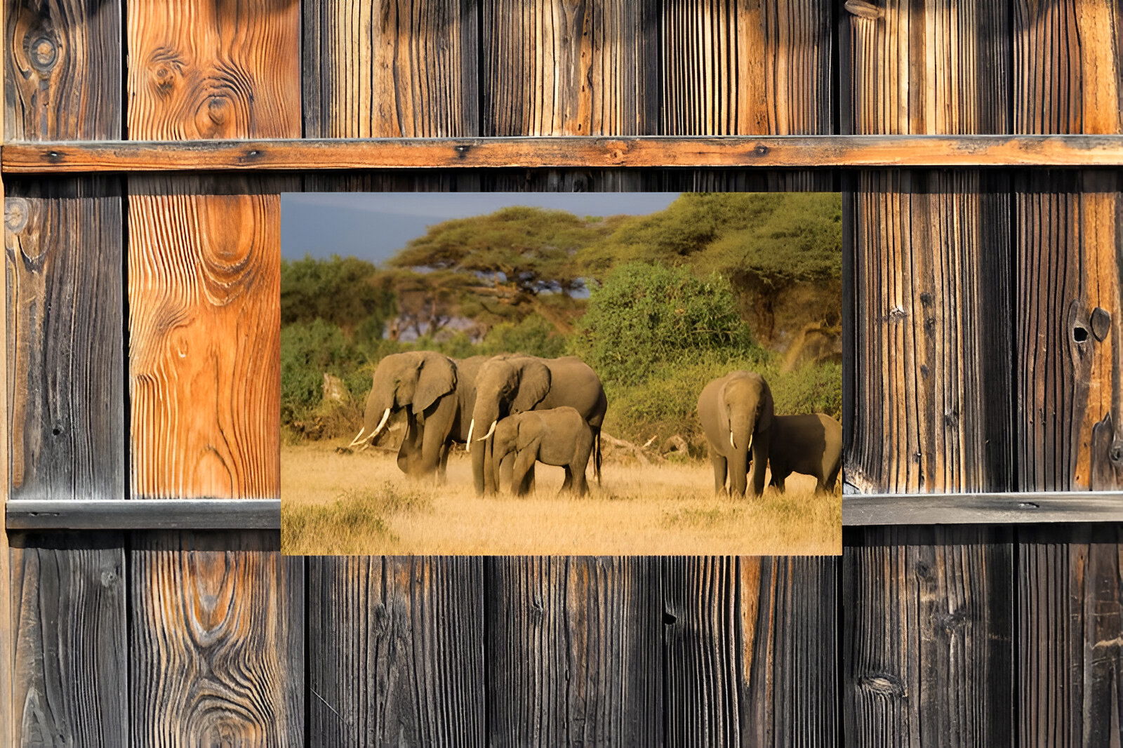 https://cdn.warentuin.nl/media/catalog/product/S/C/SCAN8720966703006_01_customize_it_tuindoek_olifanten_140x90cm_tui_cabc.jpg