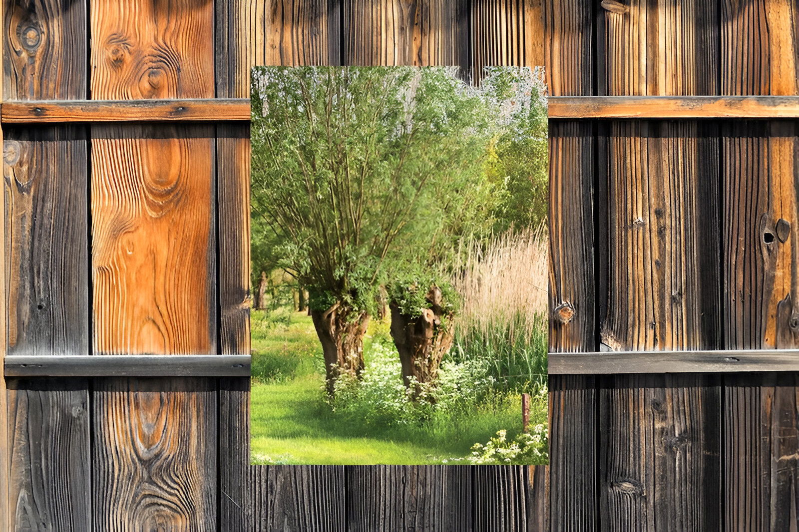 https://cdn.warentuin.nl/media/catalog/product/S/C/SCAN8720966703211_01_customize_it_tuinschilderijen_knotwilgen_50x_e661.jpg