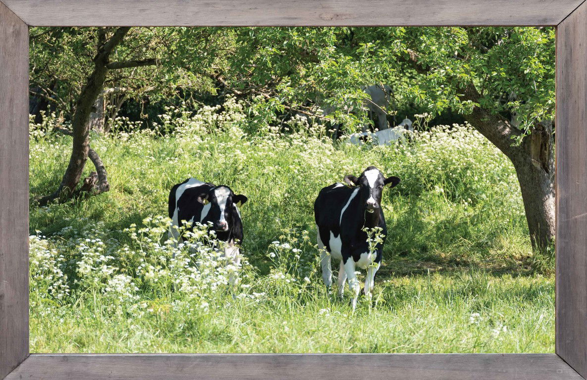 https://cdn.warentuin.nl/media/catalog/product/S/C/SCAN8720966703457_lijst_hout_fl_kruid_koe_140x90cm_tuindoek_customize_it_b866.jpg
