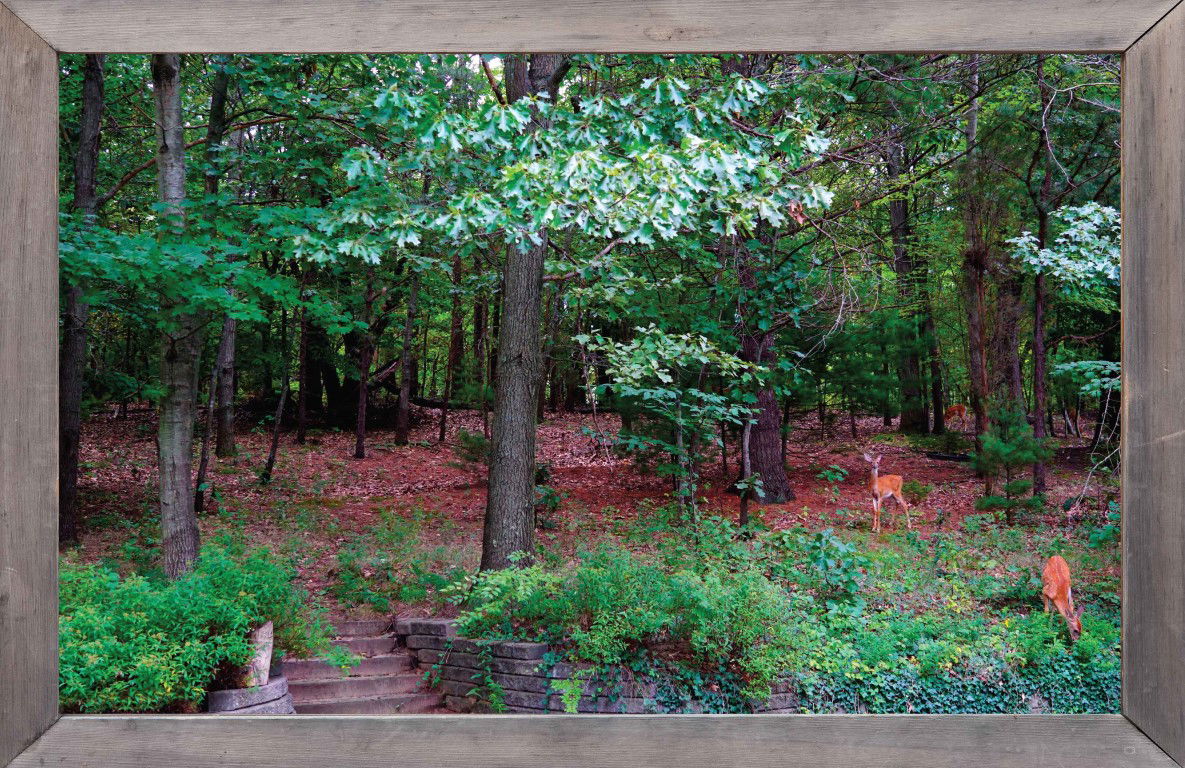 https://cdn.warentuin.nl/media/catalog/product/S/C/SCAN8720966703488_lijst_hout_bos_hertjes_140x90cm_tuindoek_customize_it_18ee.jpg