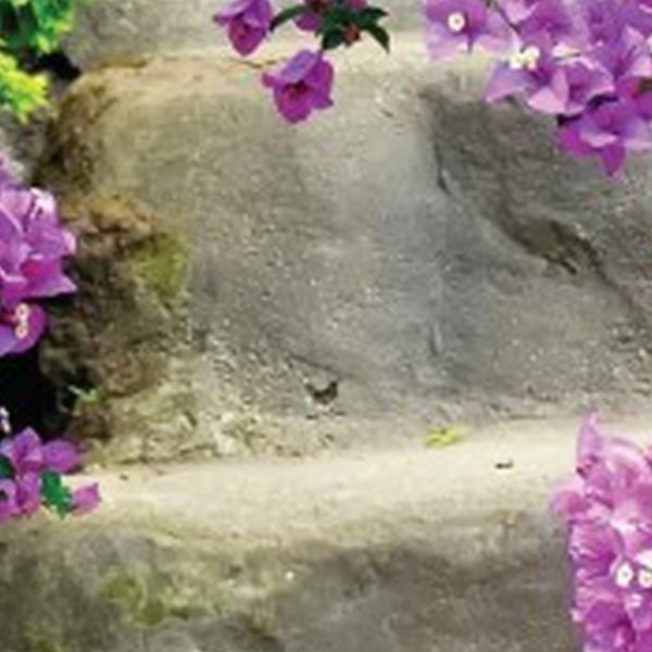 https://cdn.warentuin.nl/media/catalog/product/S/C/SCAN8720966703600_01_tuindoek_bloemen_trap_170x90cm_prs_customize_it_ebdf.jpg