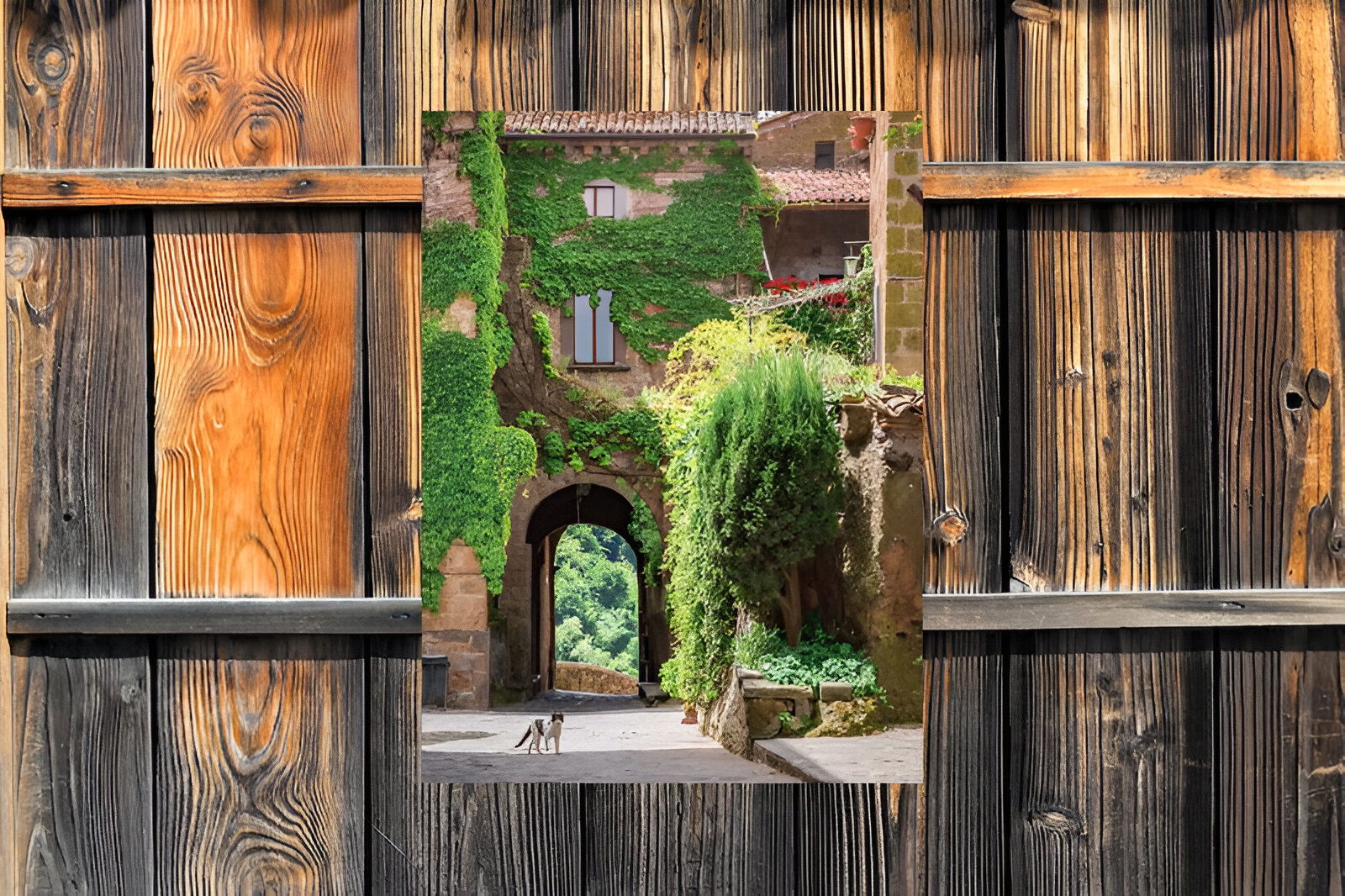 https://cdn.warentuin.nl/media/catalog/product/S/C/SCAN8720966703846_01_customize_it_tuinschilderijen_klimop_poes_50_c0b3.jpg