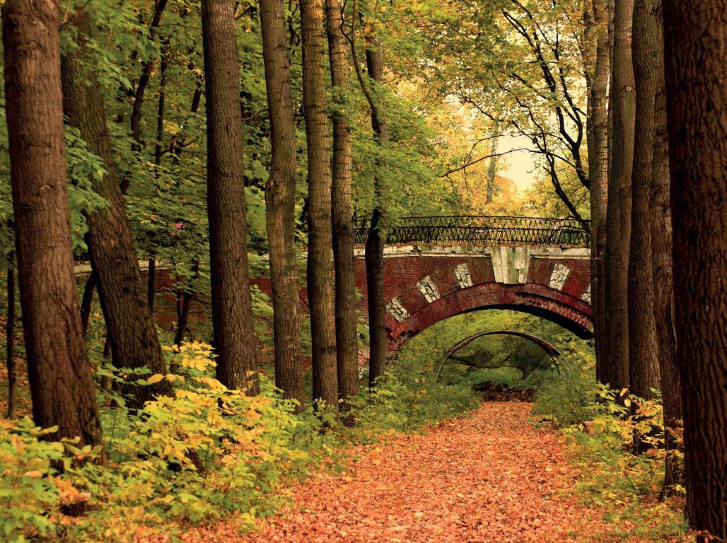 https://cdn.warentuin.nl/media/catalog/product/S/C/SCAN8720966704010_brug_in_bos_70x50cm_tuinschilderij_customize_it_0847.jpg