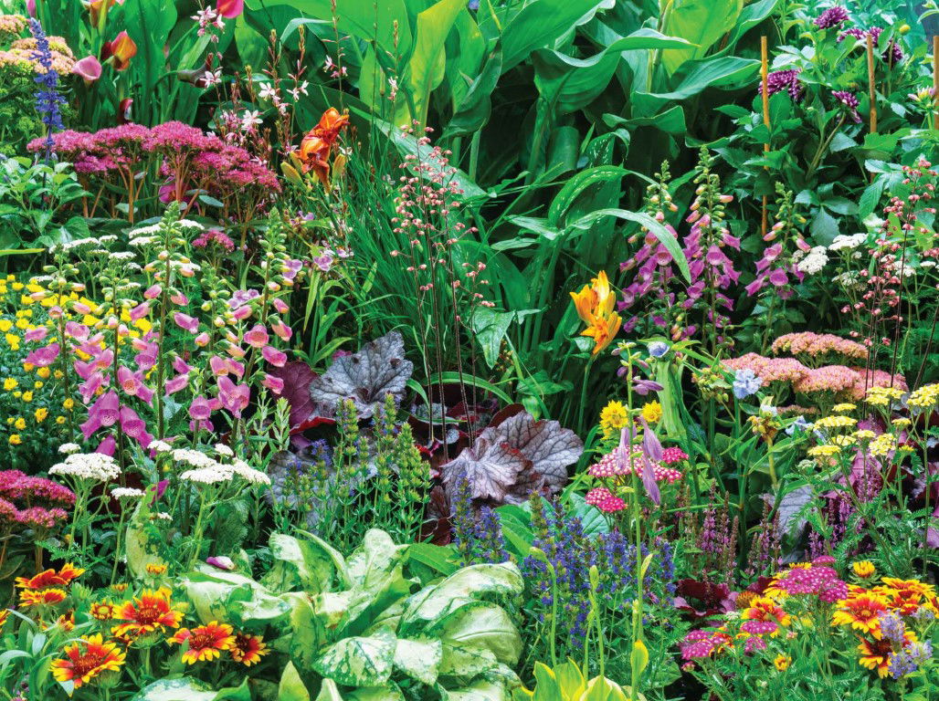 https://cdn.warentuin.nl/media/catalog/product/S/C/SCAN8720966704447_bloemenmix_70x50cm_tuinschilderij_customize_it_a5e7.jpg