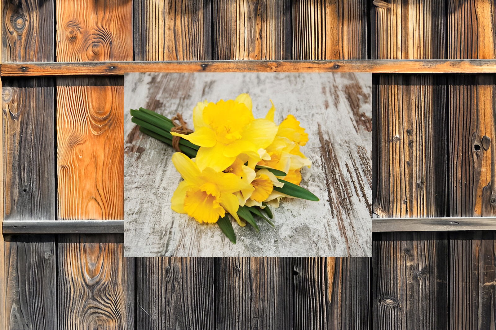https://cdn.warentuin.nl/media/catalog/product/S/C/SCAN8720966704478_01_customize_it_tuinschilderijen_narcis_bosje_7_35f5.jpg