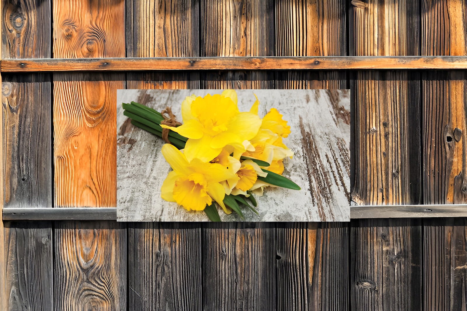 https://cdn.warentuin.nl/media/catalog/product/S/C/SCAN8720966704485_01_customize_it_tuinschilderijen_narcis_bosje_1_4d07.jpg