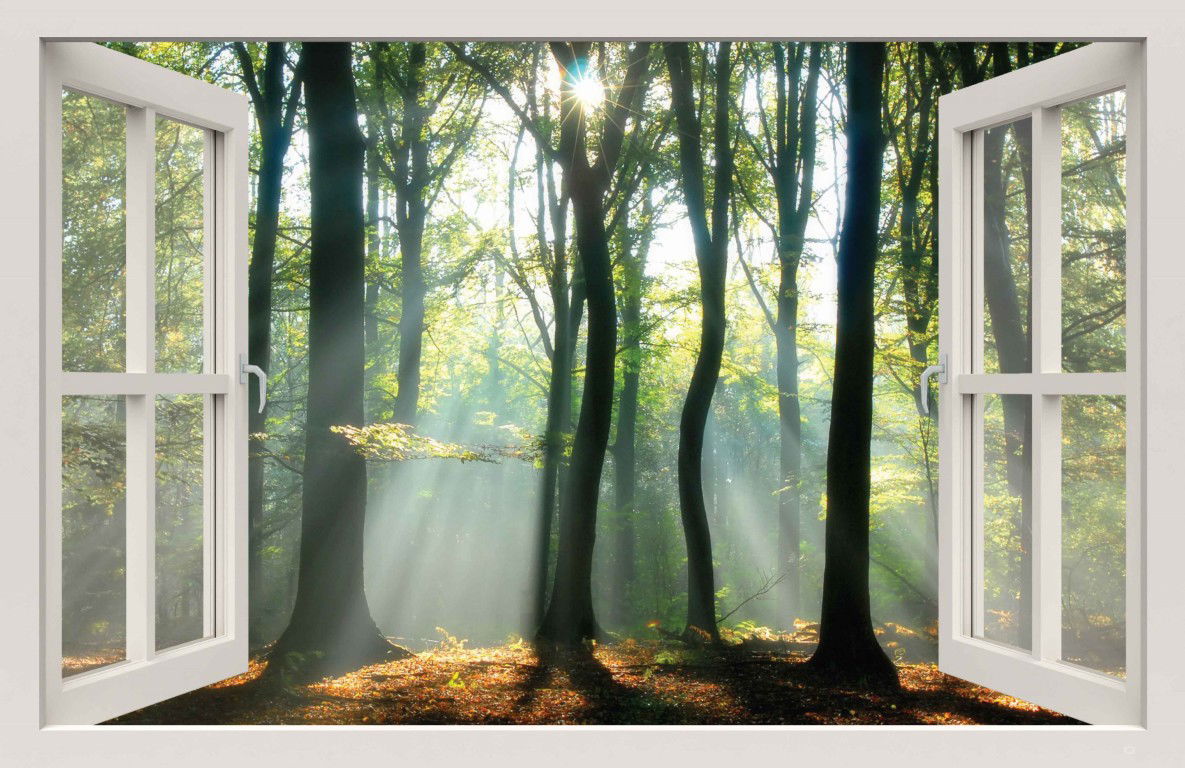 Customize it Tuindoek raam lichtinval bos 210x140cm - 