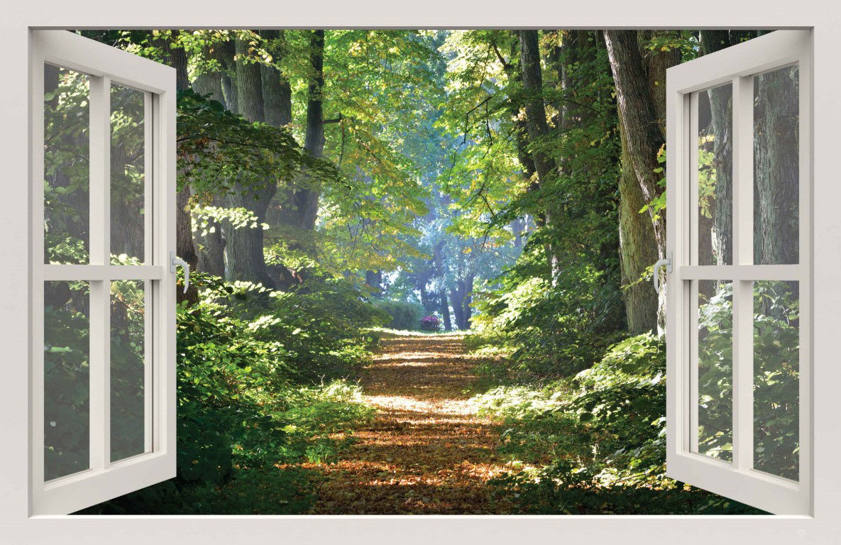 https://cdn.warentuin.nl/media/catalog/product/S/C/SCAN8720966704621_raam_bospad_140x90cm_tuindoek_customize_it_e858.jpg