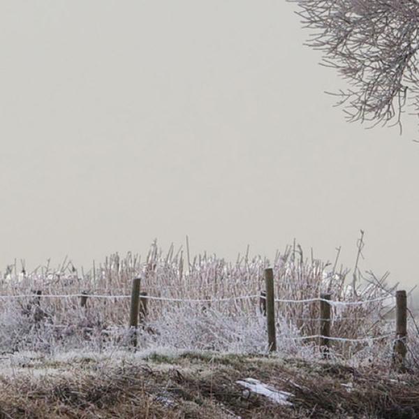 https://cdn.warentuin.nl/media/catalog/product/S/C/SCAN8720966704867_01_tuinschilderij_polder_winter_70x50_customize_it_4bf6.jpg