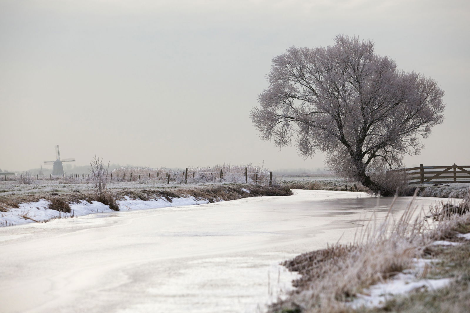 Customize it Tuinschilderij polder winter 70x50 - 