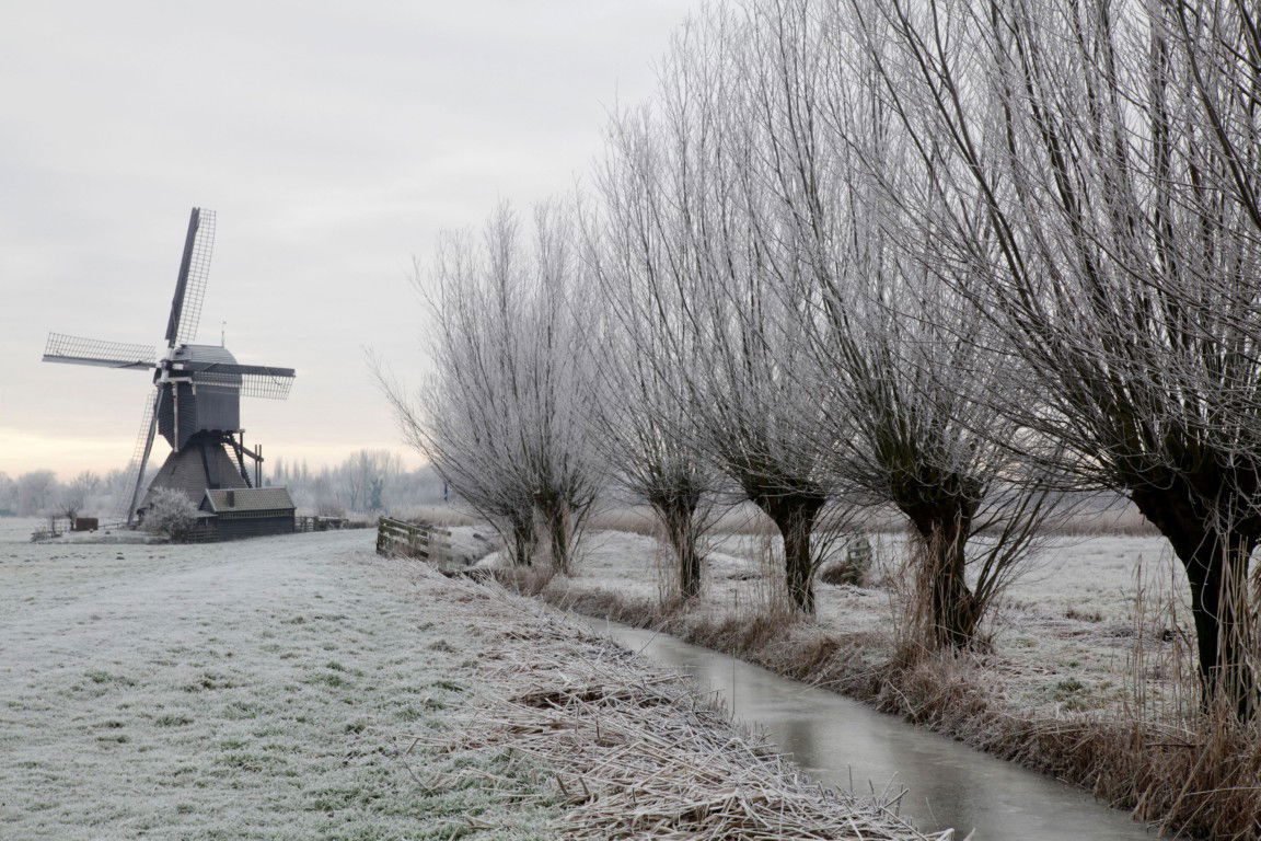 Customize it Tuinschilderij knotw winter 130x70 - 