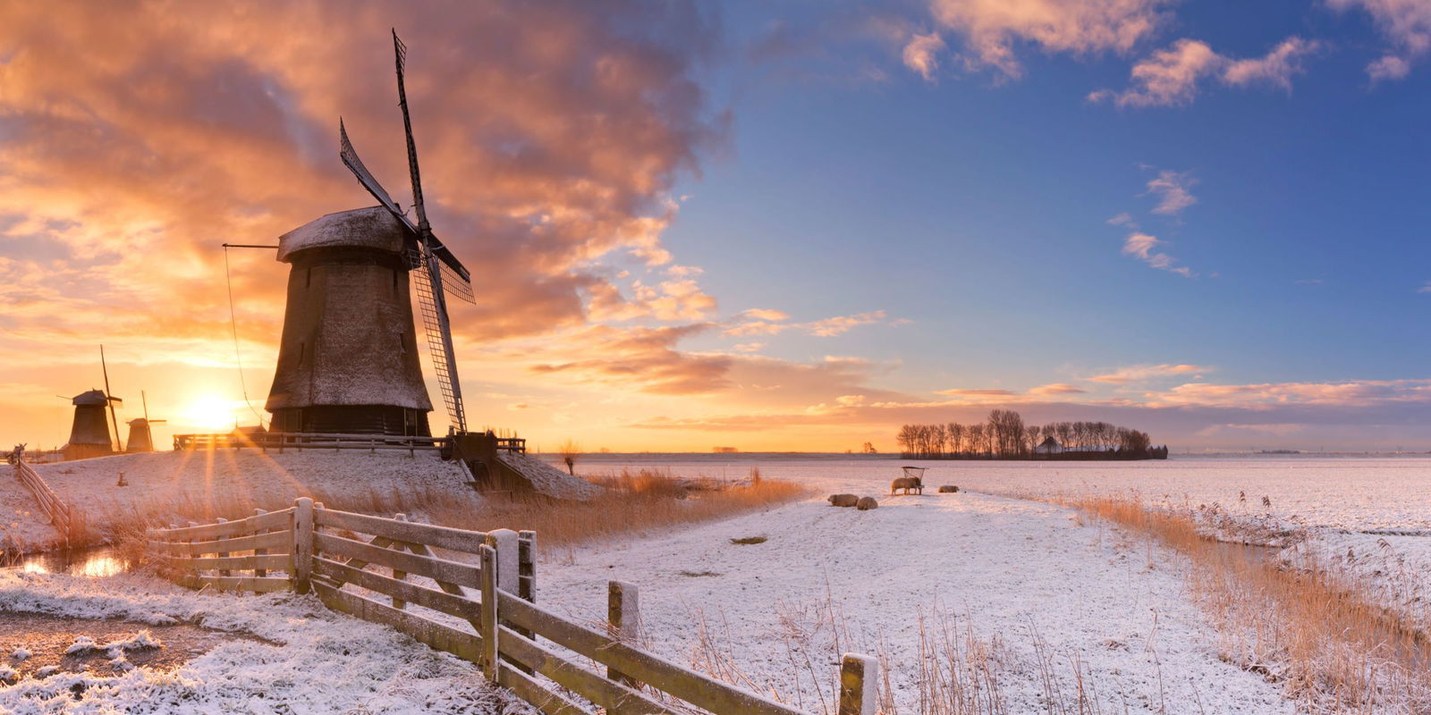 Customize it Tuinschilderij molen winter 70x50cm - 