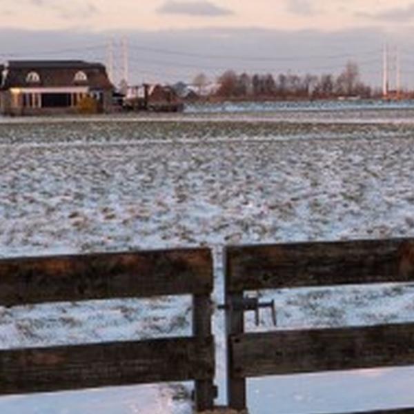 https://cdn.warentuin.nl/media/catalog/product/S/C/SCAN8720966705017_01_tuinschilderij_kalkmln_winter_70x50_customize_it_45a0.jpg