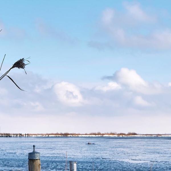 https://cdn.warentuin.nl/media/catalog/product/S/C/SCAN8720966705048_01_tuinschilderij_haven_in_ijs_130x70_customize_it_743d.jpg