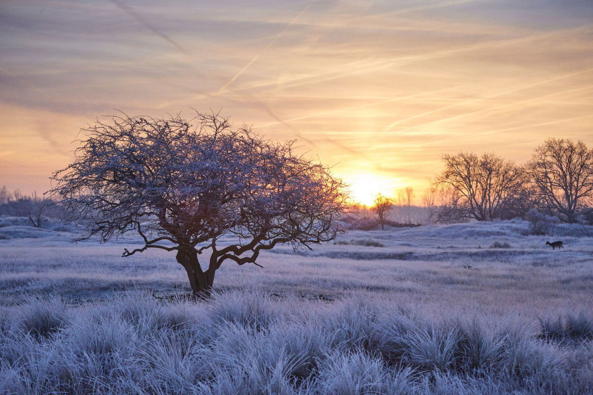 Customize it Tuinschilderij winter wonderl 70x50 - 