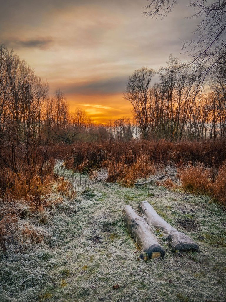 Customize it Tuinschilderij winter sunset 70x50 - 