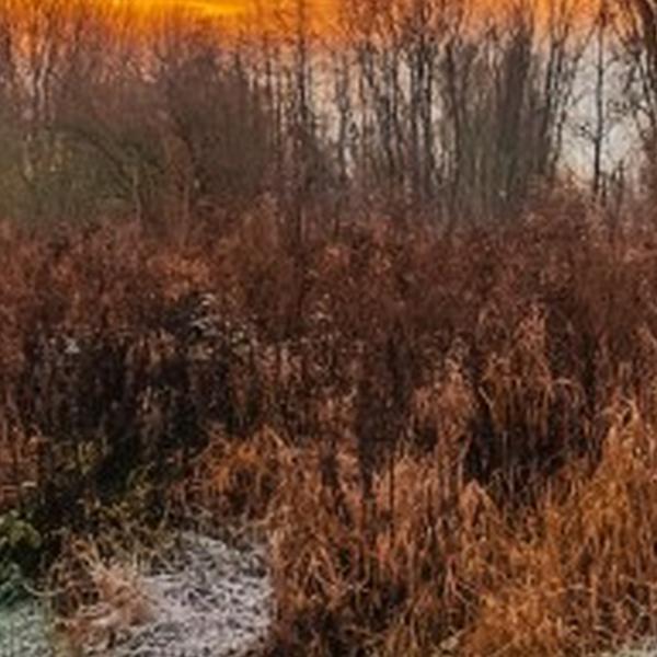 https://cdn.warentuin.nl/media/catalog/product/S/C/SCAN8720966705147_01_tuinschilderij_winter_sunset_130x70_customize_it_02a9.jpg
