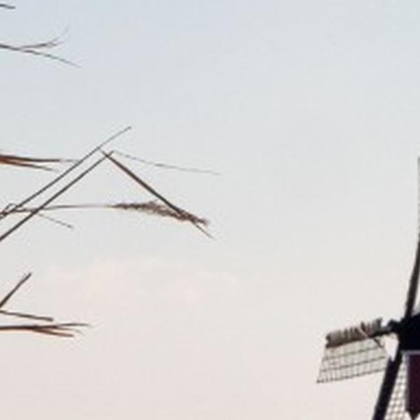 https://cdn.warentuin.nl/media/catalog/product/S/C/SCAN8720966705161_01_tuinschilderij_molen_sneeuw_130x70_customize_it_2307.jpg