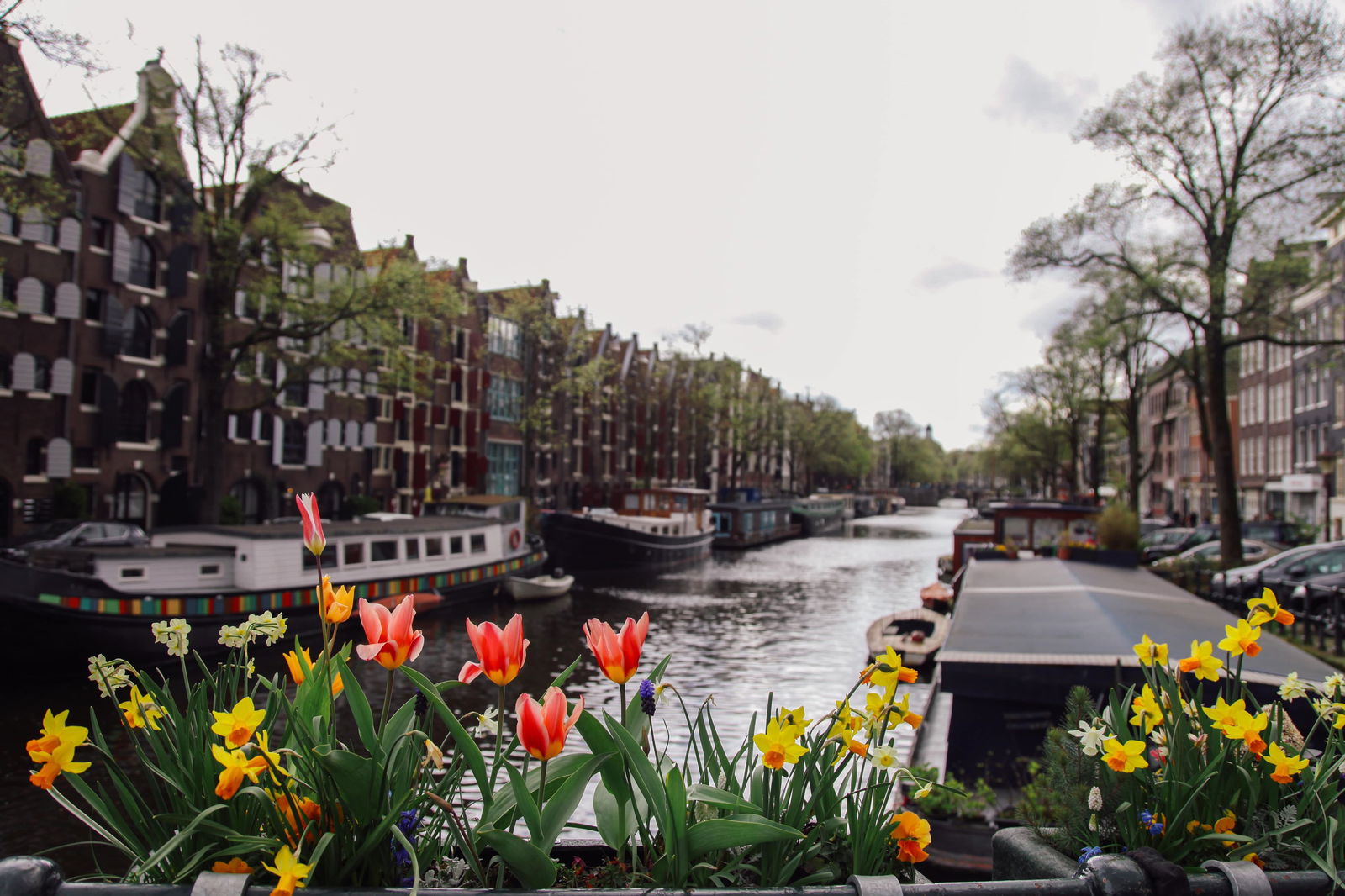 Customize it Tuinschilderij bloemengracht 70x50 - 