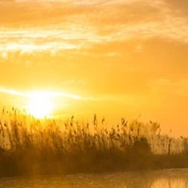 https://cdn.warentuin.nl/media/catalog/product/S/C/SCAN8720966706090_01_tuinschilderij_zonsopkomst_130x70cm_customize_it_d757.jpg