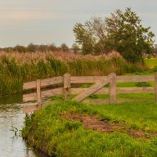 https://cdn.warentuin.nl/media/catalog/product/S/C/SCAN8720966706281_01_tuinschilderij_polderland_70x50_customize_it_c8c3.jpg
