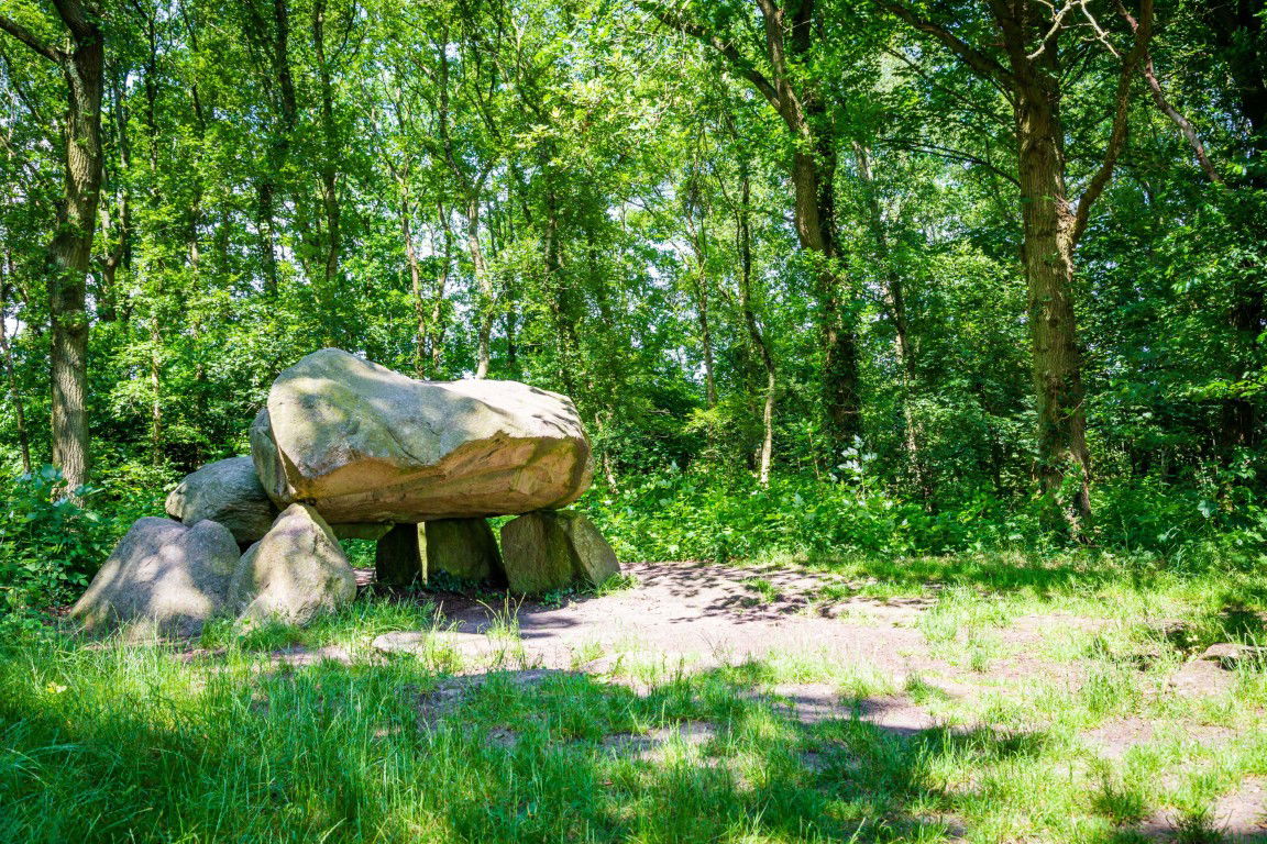 Customize it Tuinschilderij prehistorie 70x50cm - 