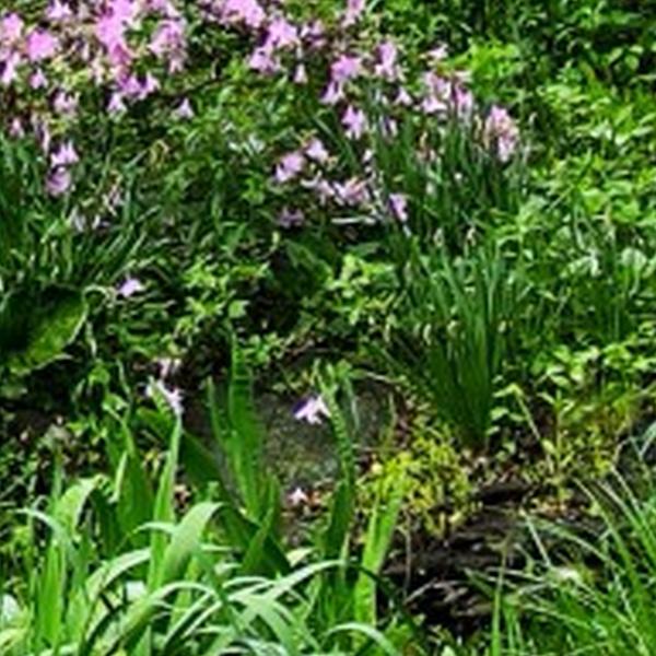 https://cdn.warentuin.nl/media/catalog/product/S/C/SCAN8720966706625_01_tuinschilderij_lentetuin_70x50cm_customize_it_b3d5.jpg