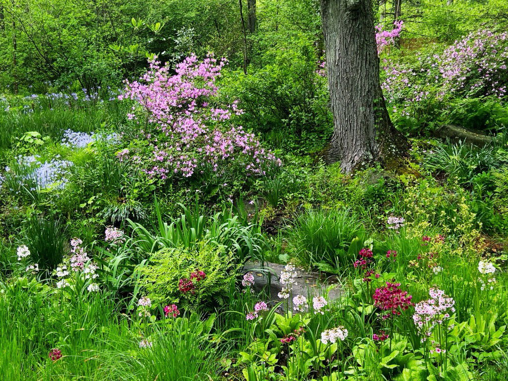 Customize it Tuinschilderij lentetuin 70x50cm - 