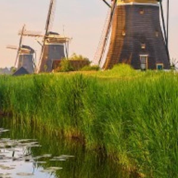 https://cdn.warentuin.nl/media/catalog/product/S/C/SCAN8720966706700_01_tuinschilderij_drie_molens_130x70cm_customize_it_708f.jpg