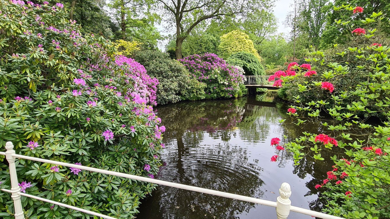 Customize it Tuinschilderij bloemenvijver 70x50 - 