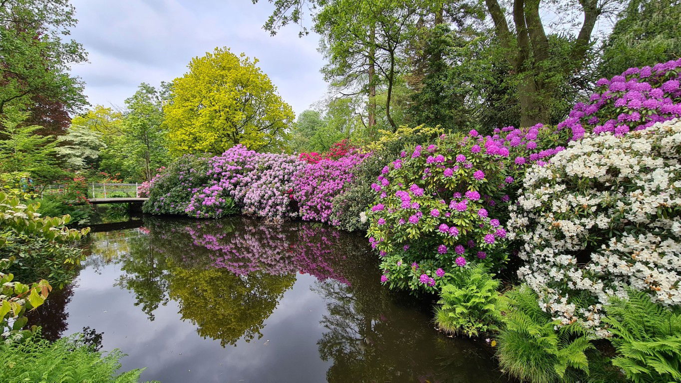Customize it Tuinschilderij bloemenweelde 70x50 - 