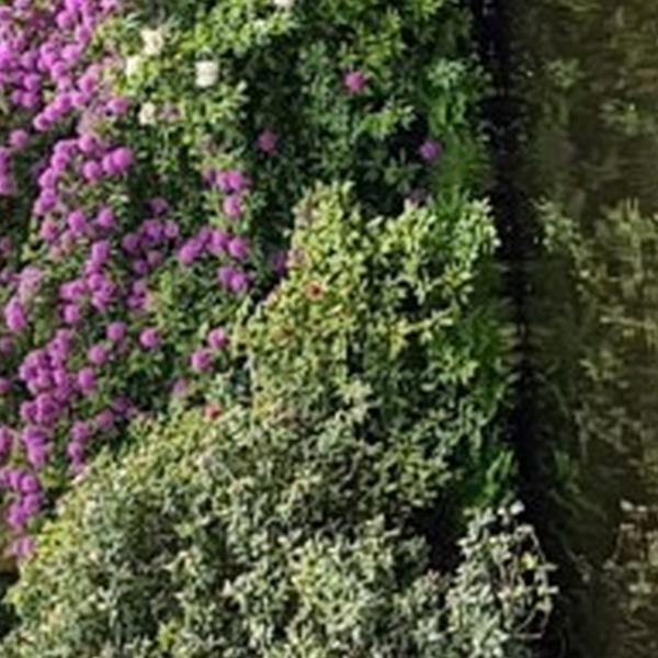 https://cdn.warentuin.nl/media/catalog/product/S/C/SCAN8720966707141_01_tuinschilderij_bloemenpracht_130x70_customize_it_e517.jpg