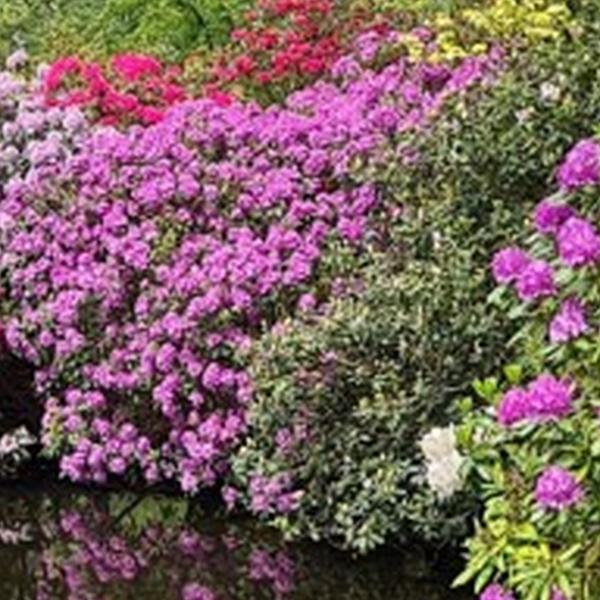 https://cdn.warentuin.nl/media/catalog/product/S/C/SCAN8720966707158_01_tuinschilderij_bloemenweelde_130x70_customize_it_be31.jpg