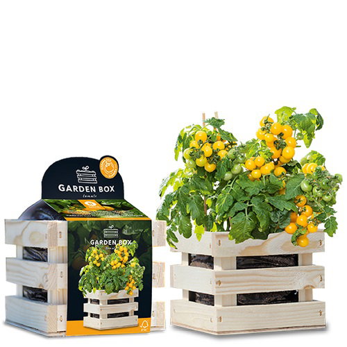Toon details van Garden Box struiktomaat Tumbling Tom Yellow Baza Seeds Hortus https://cdn.warentuin.nl/media/catalog/product/S/C/SCAN8726200177725_garden_box_struiktomaat_tumbling_tom_yellow_baza_seeds_hortus_8dc9.jpg