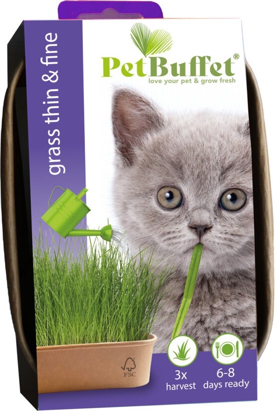 Pet-Buffet thin & fine Kitten set 3 x kweken Baza Seeds Hortus - Hortus