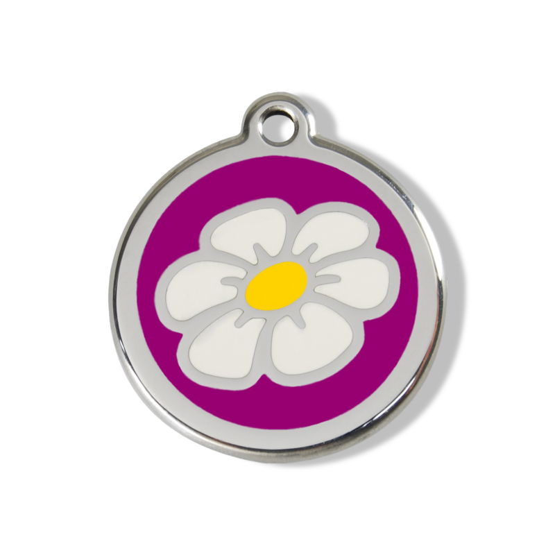 https://cdn.warentuin.nl/media/catalog/product/S/C/SCAN9330725003545_01_reddingo_daisy_flower_purple_roestvrijstalen_c216.jpg