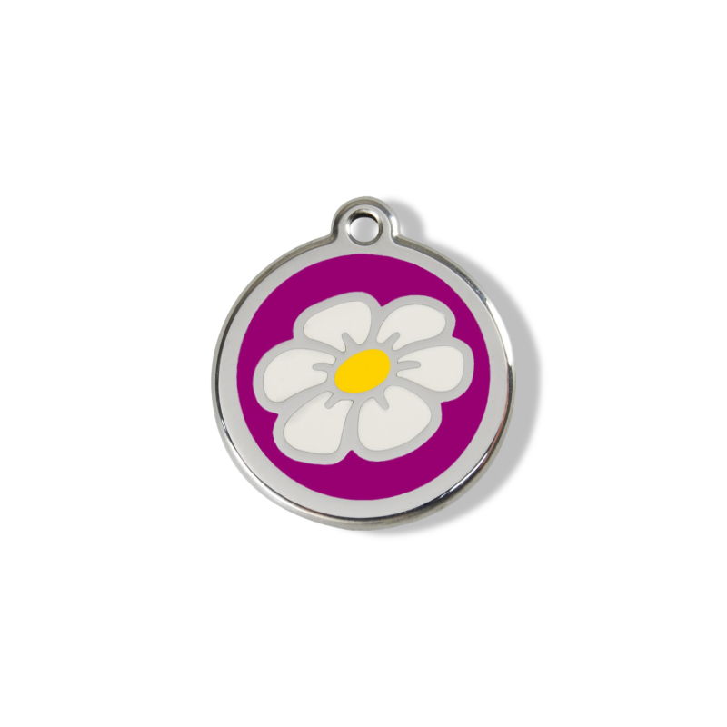 https://cdn.warentuin.nl/media/catalog/product/S/C/SCAN9330725003552_01_reddingo_daisy_flower_purple_roestvrijstalen_c313.jpg