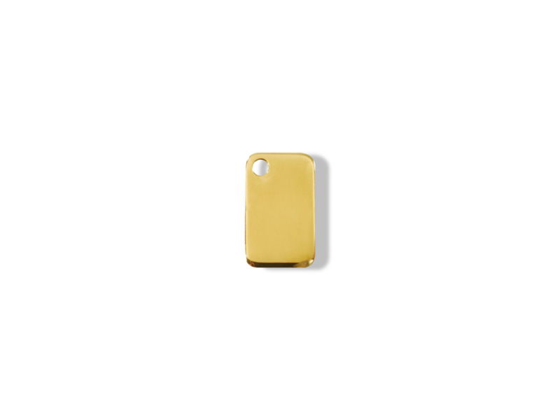 https://cdn.warentuin.nl/media/catalog/product/S/C/SCAN9330725005778_01_reddingo_rectangle_koperen_dierenpenning_sma_d35b.jpg
