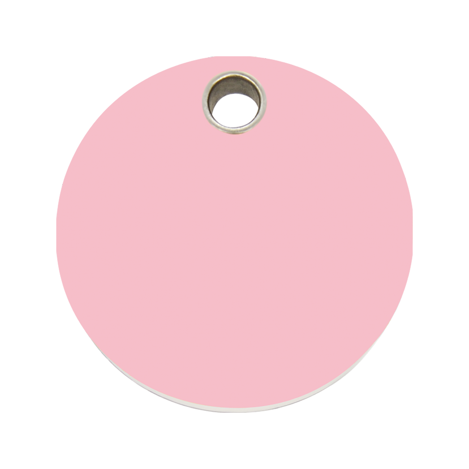 https://cdn.warentuin.nl/media/catalog/product/S/C/SCAN9330725028951_reddingo_dierenpenning_circle_iv_plastic_dierenpenning_large__0ffc.png