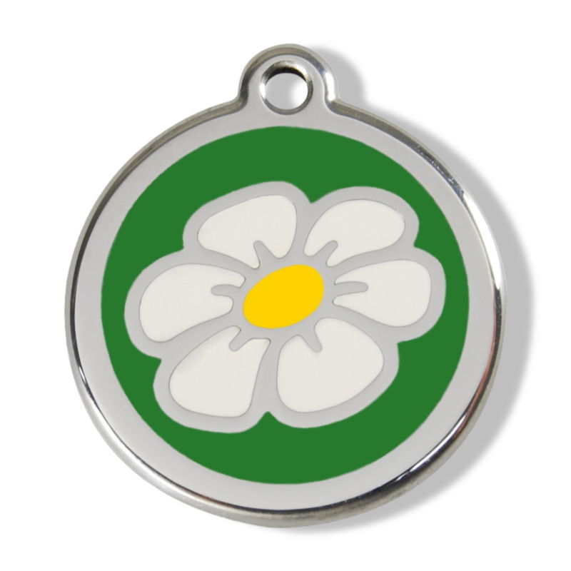 https://cdn.warentuin.nl/media/catalog/product/S/C/SCAN9330725030015_01_reddingo_daisy_flower_green_roestvrijstalen__dfe6.jpg