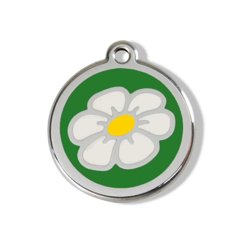 https://cdn.warentuin.nl/media/catalog/product/S/C/SCAN9330725030022_01_reddingo_daisy_flower_green_roestvrijstalen__eee5.jpg